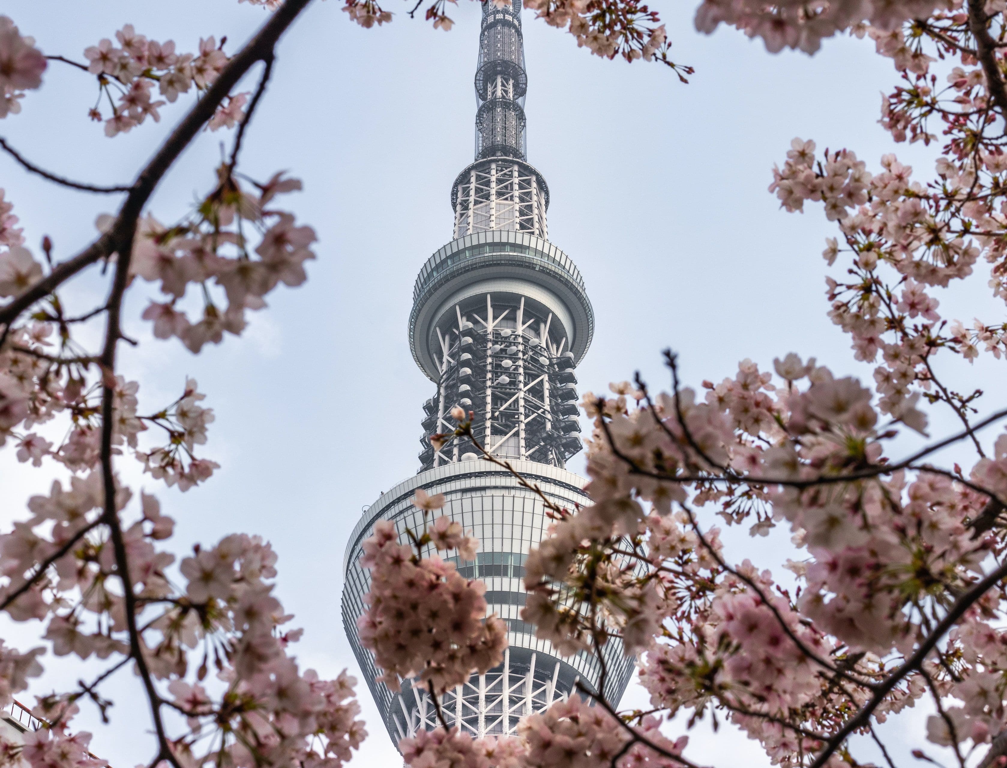 Blog with title About Korea's main image